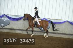 19YN_32475 thumbnail