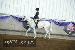 19YN_32477 thumbnail