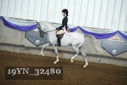19YN_32480 thumbnail