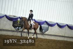19YN_32481 thumbnail