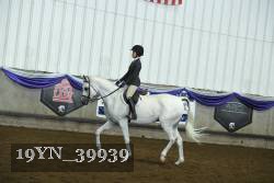 19YN_39939 thumbnail