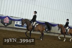 19YN_39942 thumbnail
