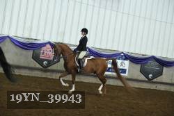 19YN_39943 thumbnail