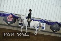 19YN_39944 thumbnail