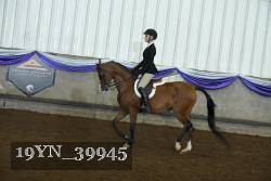 19YN_39945 thumbnail