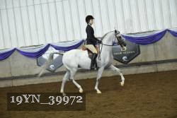 19YN_39972 thumbnail