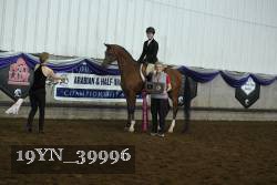 19YN_39996 thumbnail