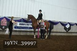 19YN_39997 thumbnail