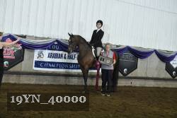 19YN_40000 thumbnail