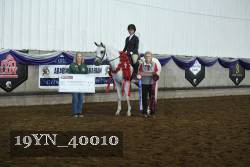 19YN_40010 thumbnail