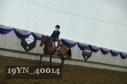 19YN_40014 thumbnail