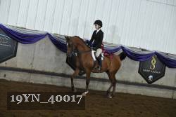 19YN_40017 thumbnail