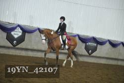 19YN_42107 thumbnail