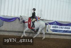 19YN_42114 thumbnail
