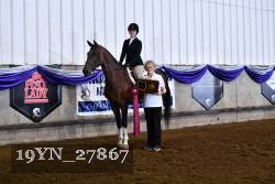 19YN_27867 thumbnail