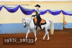 19YN_28135 thumbnail