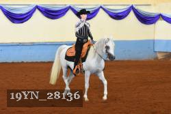 19YN_28136 thumbnail