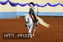 19YN_28137 thumbnail