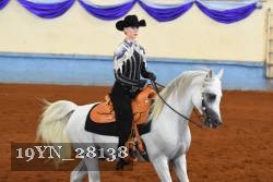 19YN_28138 thumbnail