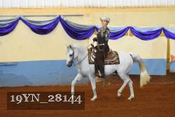 19YN_28144 thumbnail