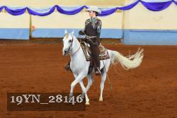 19YN_28146 thumbnail