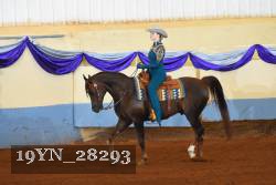 19YN_28293 thumbnail
