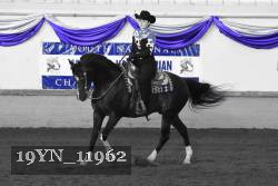 19YN_11962 thumbnail