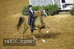 19YN_23297 thumbnail