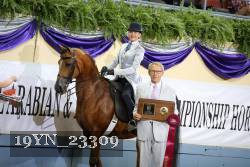 19YN_23309 thumbnail