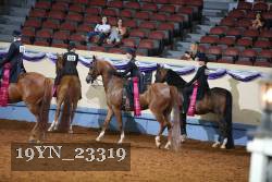 19YN_23319 thumbnail