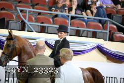 19YN_23323 thumbnail