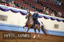 19YN_14695 thumbnail