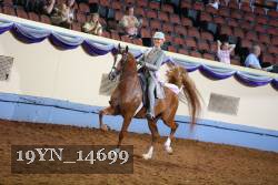 19YN_14699 thumbnail