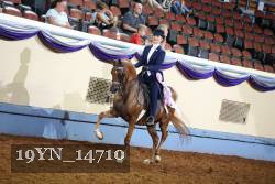 19YN_14710 thumbnail