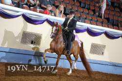19YN_14717 thumbnail