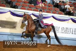 19YN_26903 thumbnail