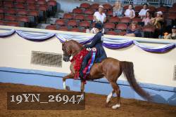 19YN_26947 thumbnail