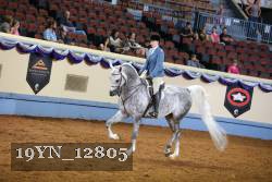 19YN_12805 thumbnail