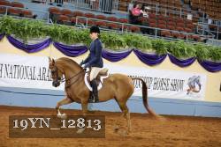19YN_12813 thumbnail