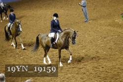 19YN_19159 thumbnail