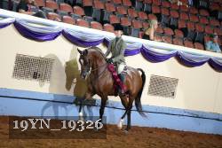 19YN_19326 thumbnail