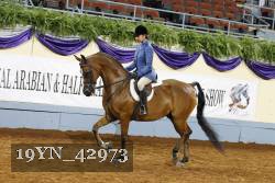 19YN_42973 thumbnail