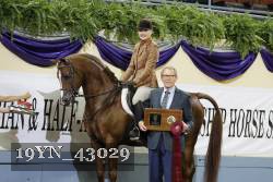19YN_43029 thumbnail