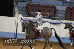 19YN_43033 thumbnail