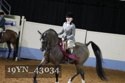 19YN_43034 thumbnail