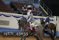 19YN_43035 thumbnail