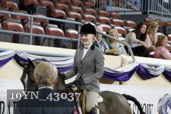 19YN_43037 thumbnail