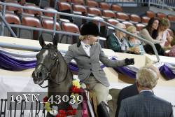 19YN_43039 thumbnail