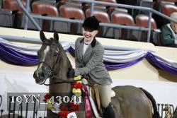 19YN_43041 thumbnail