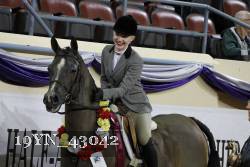 19YN_43042 thumbnail